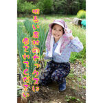 Thumbnail of related posts 142