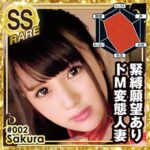 Thumbnail of related posts 172