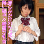 Thumbnail of related posts 132