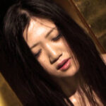 Thumbnail of related posts 119