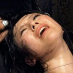 Thumbnail of related posts 138