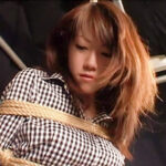 Thumbnail of related posts 177