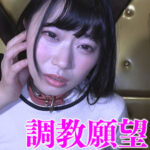 Thumbnail of related posts 102