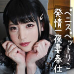 Thumbnail of related posts 017
