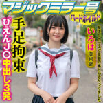 Thumbnail of related posts 023