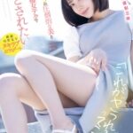 Thumbnail of related posts 017