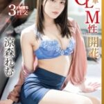 Thumbnail of related posts 023