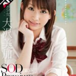 Thumbnail of related posts 132