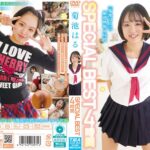 Thumbnail of related posts 013