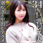Thumbnail of related posts 027