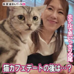 Thumbnail of related posts 006