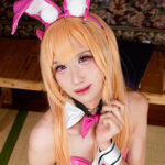 Thumbnail of related posts 146
