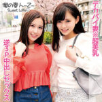 Thumbnail of related posts 043