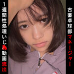 Thumbnail of related posts 148