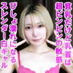 Thumbnail of related posts 072