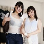 Thumbnail of related posts 168