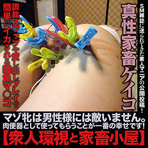 Thumbnail of post image 073