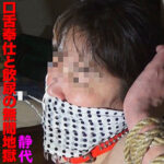 Thumbnail of related posts 030