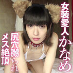 Thumbnail of related posts 147