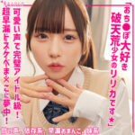 Thumbnail of related posts 028