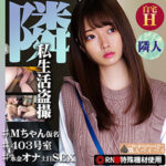 Thumbnail of related posts 042