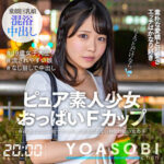 Thumbnail of related posts 041